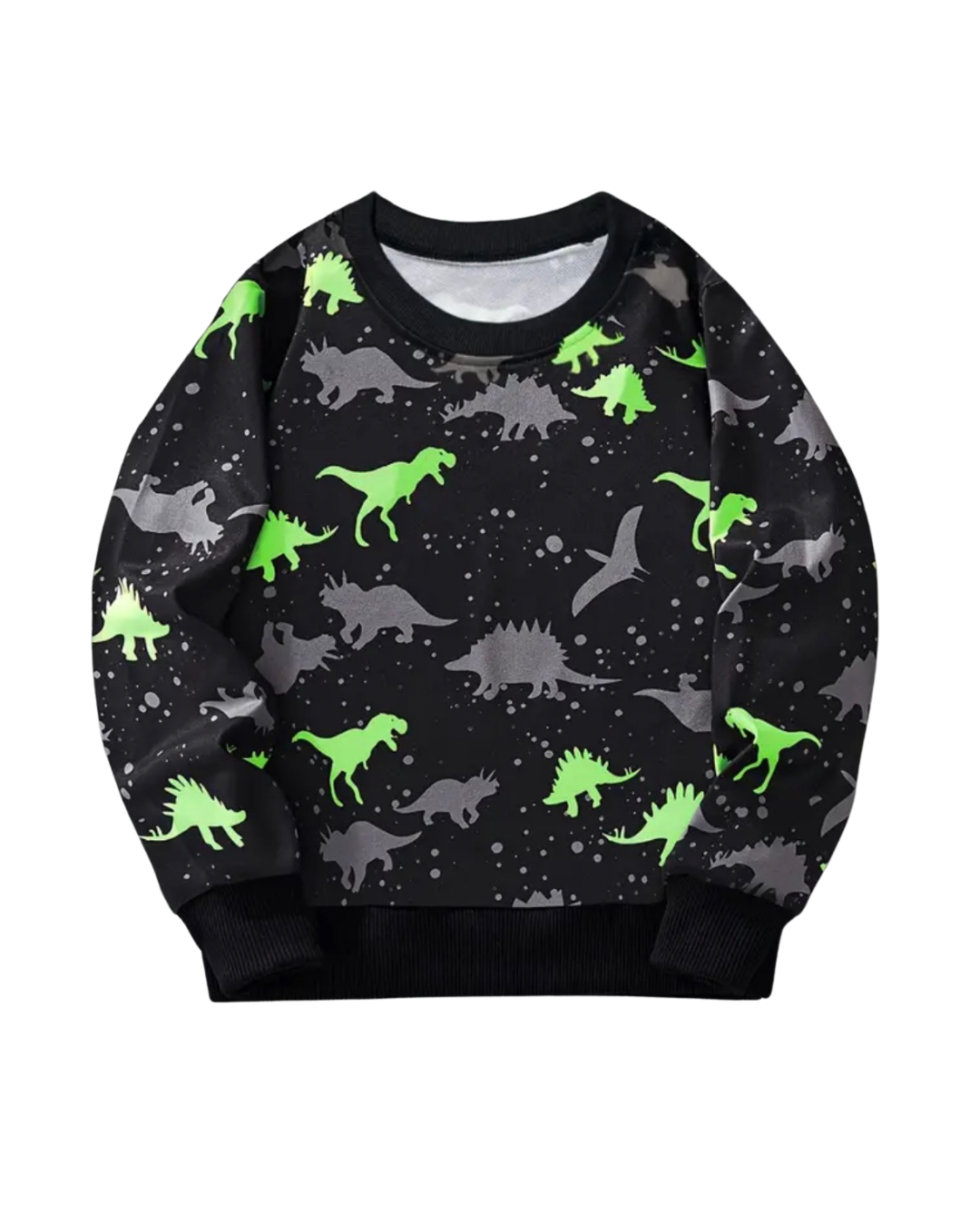 Dinosaur Print Pullover